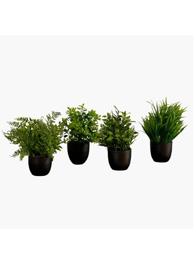 Home Box Evergreen Mini Artificial Succulent Greenery Set of 4 - Image 5